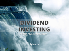 DIY Investing Course To Dividend Stocks
